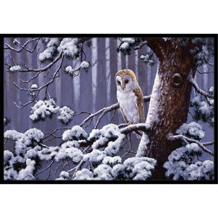 Carolines Treasures Owl on a Tree Branch in the Snow Indoor or Outdoor Mat- 18 x 27 BDBA0303MAT